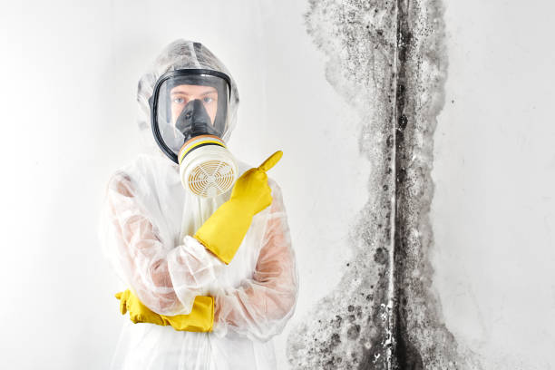 Mold Remediation for Vacation Homes in Karnes City, TX