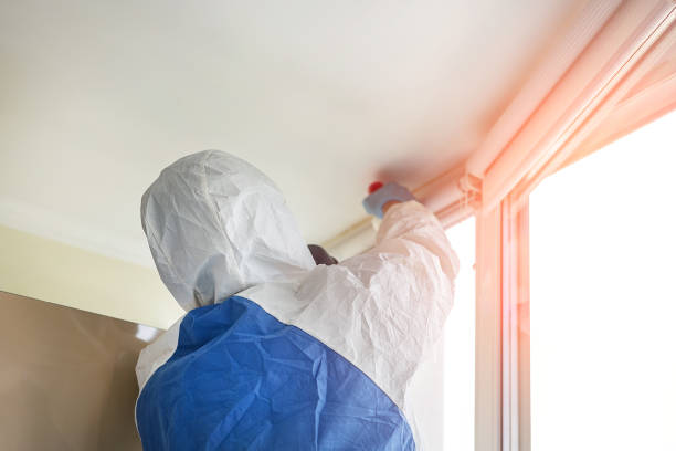 Biohazard Mold Removal in Karnes City, TX