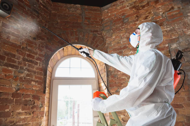 Why You Should Choose Our Mold Remediation Services in Karnes City, TX